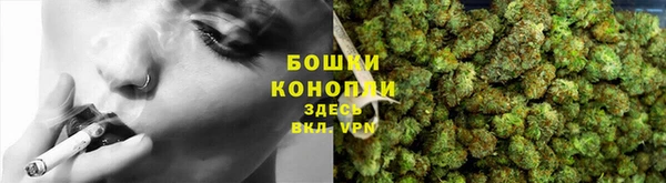 2c-b Белокуриха