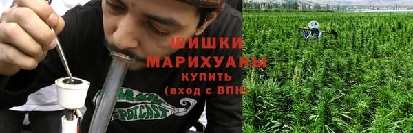 2c-b Белокуриха