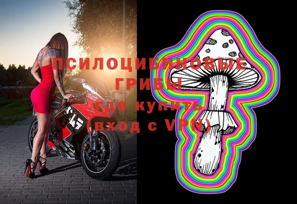 2c-b Белокуриха