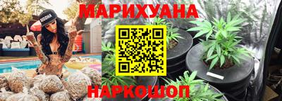 гидропоника Гусь-Хрустальный