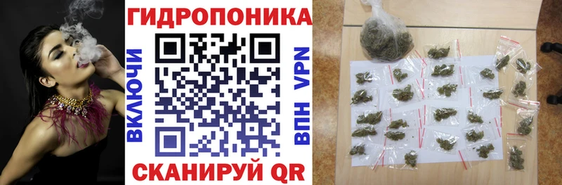 Бошки марихуана конопля Лыткарино